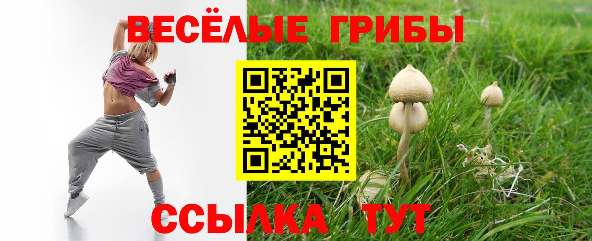 Галлюциногенные грибы мухоморы  Вход с VPN  Видное 